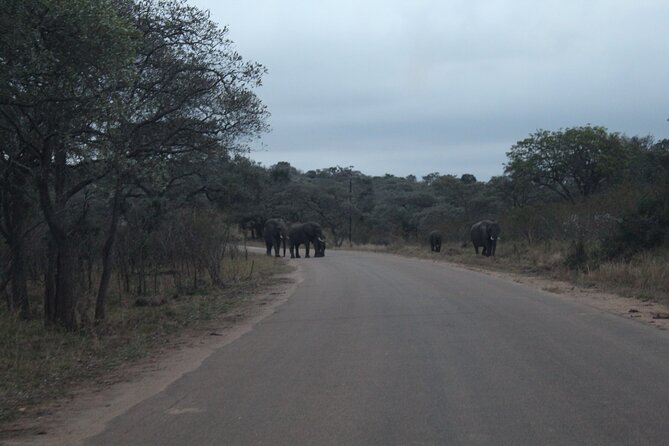 4 Day Private Tour in Zula Joburg to Kruger Panorama