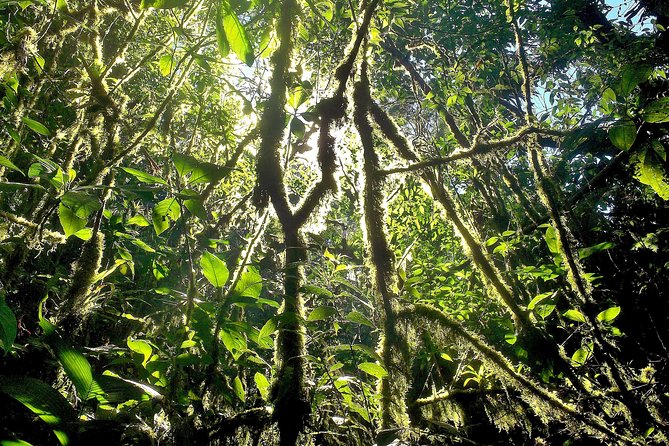 4-Day Sierra Nevada Jungle Trek With Farm House Accommodation (Feb )