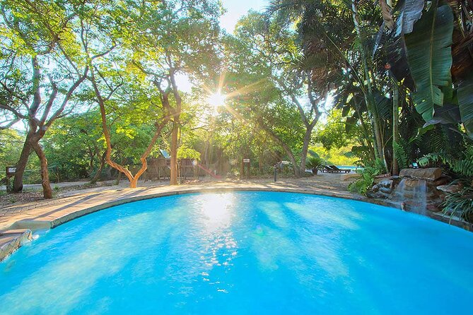 4 Day Ultra Budget Kruger National Park Safari From Johannesburg