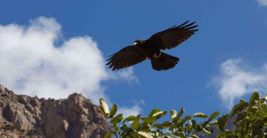 4 Day Visiting the Berber Village