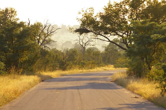 4 Days Budget Kruger Park Safari Tour in South Africa