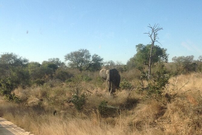 4 Days Kruger National Park Safari Tour
