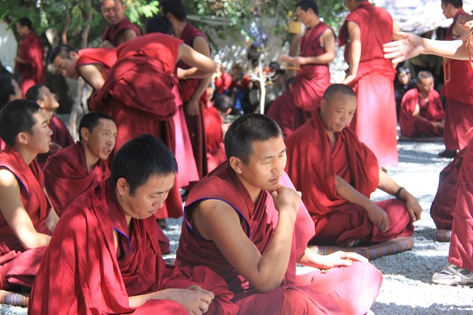 4 Days Lhasa Impression Small Group Tour - Good To Know
