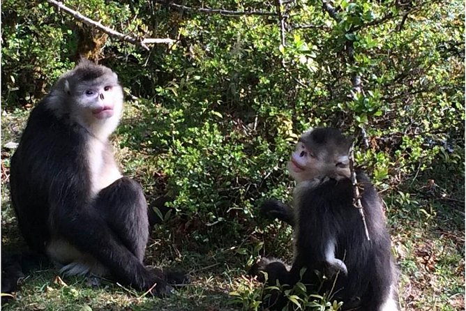 12 Best Tours In Shangri La