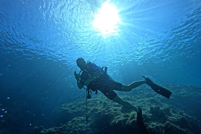 4 Hour Private Activity, Two Tank Diving in San Andres - Reviews & Ratings Overview