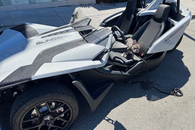 4-Hour Slingshot Rental - Good To Know