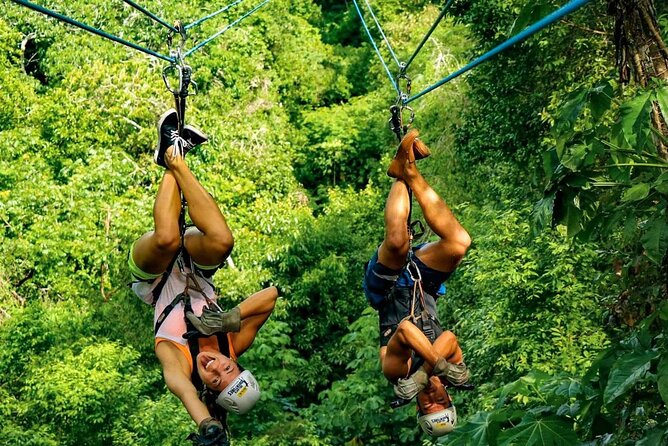 4 Hour Zipline Circuit Adventure in Punta Cana