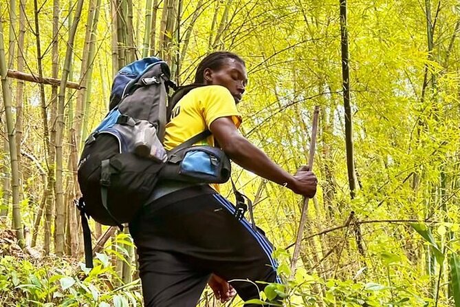 2 Best Bike Tours In Montego Bay