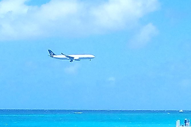 4 Hours Montego Bay Private Sightseeing Highlight Tour - Good To Know