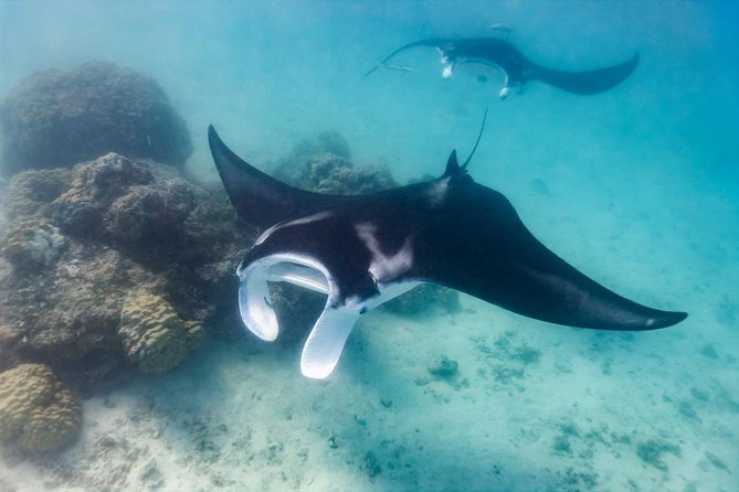 4 Point Snorkeling Safari and West Penida Tour (Inclusive)