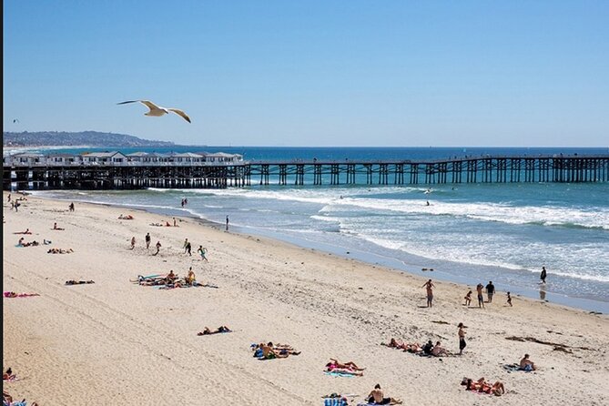 1 Day Adult Surf Retreat in San Diego - What to Expect