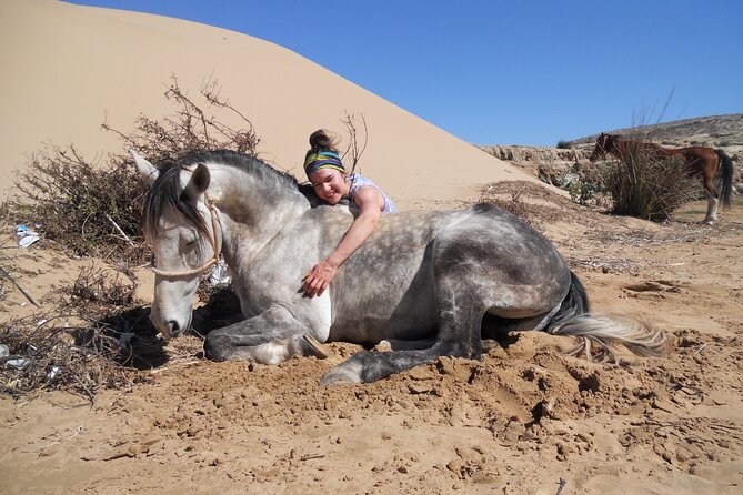 1 Day Horseback Ride With Lunch - Reviews and Questions
