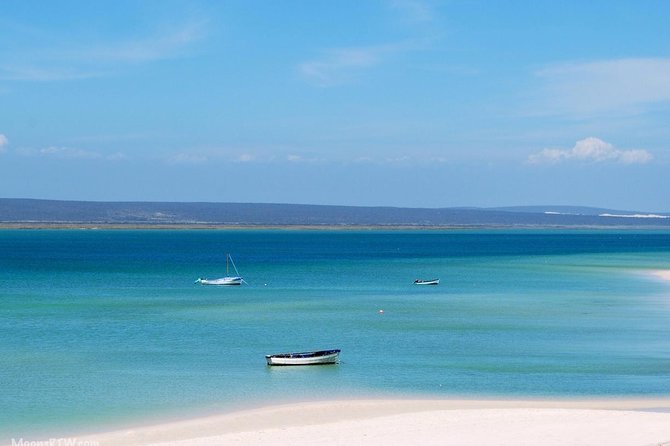 1 Day West Coast Wonders Tour With Private Transfers - Lunch Options and Dining