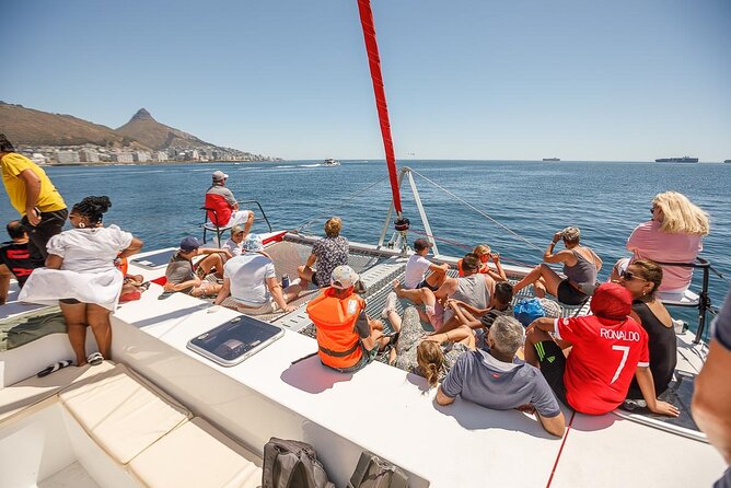 1- Hour Catamaran Cruise Cape Town - The Sum Up
