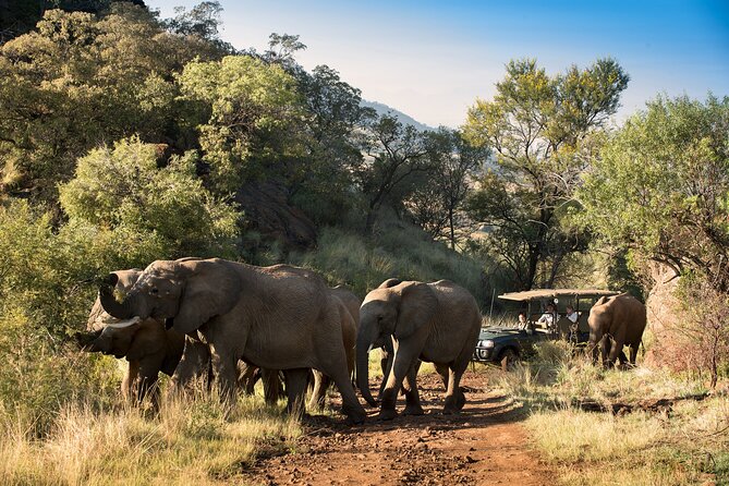 2 Day Pilanesberg Camping Safari - Sleeping Arrangements Under the Stars