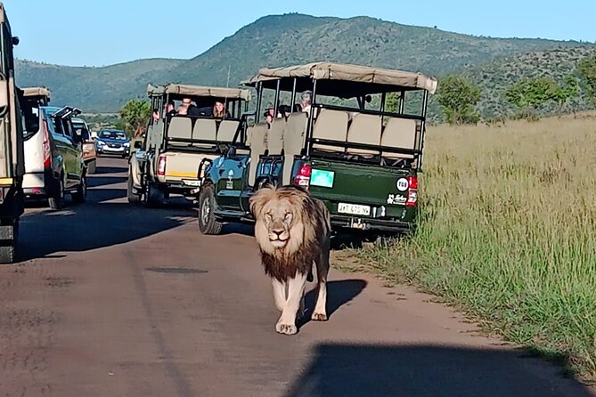 2 Day Pilanesberg Ultimate Luxury Safari - Expert Guided Tours
