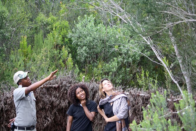 2-Night Tenikwa Wildlife Centre Lion Cabin Experience  - Plettenberg Bay - Additional Information