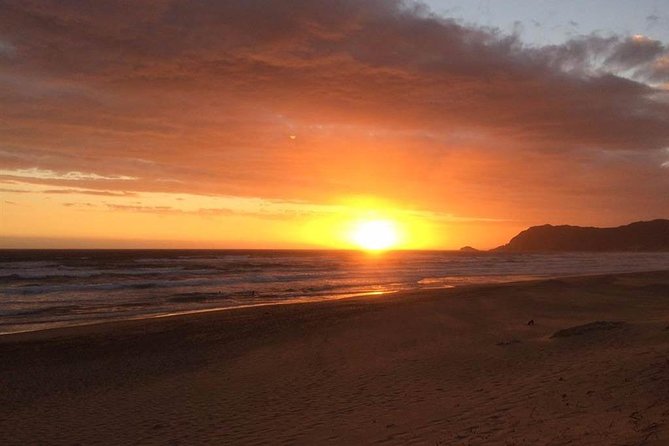 3 Day Big 5 and Bungee Tour - Garden Route Small Group Tour From Cape Town - The Sum Up