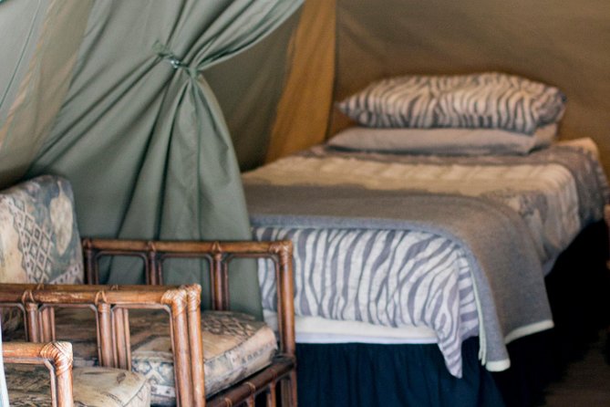 3 Day Budget Tent Kruger National Park Safari - The Sum Up