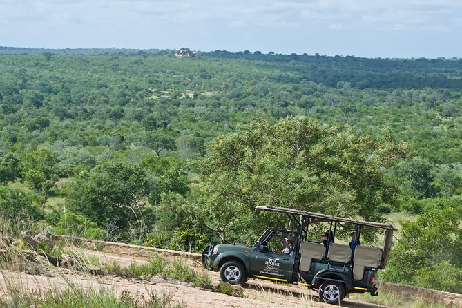3-Day Kruger National Park Safari Including Breakfast and Dinner - Day 3: Morning Safari and Return Transfer