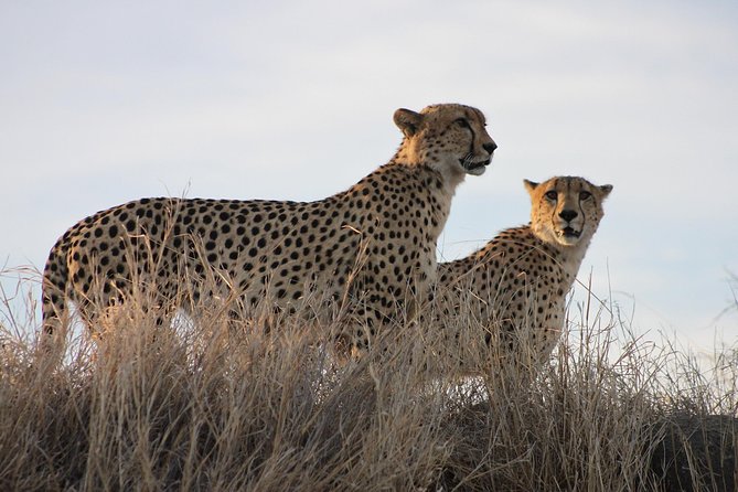 3 Day Kruger National Park Tour - The Sum Up
