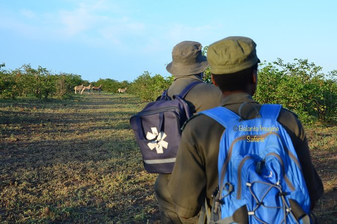3 Day Luxury Tented Kruger Safari From Johannesburg - The Sum Up