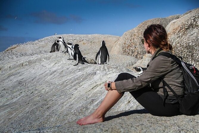 3-Day Private Guided Tour to Cape Town Top Attractions - Additional Information