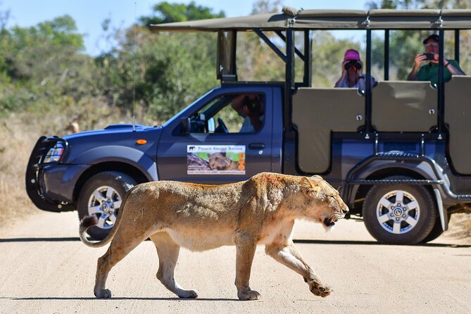 3-Day Tour of Kruger National Park From Skukuza Airport - Different Regions of Kruger National Park