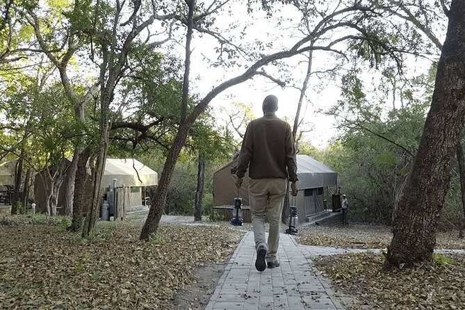 3 Day Ultra Budget Kruger National Park and Safari Tour - The Sum Up