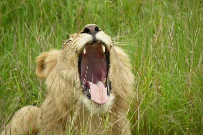 3 Days Durban Safari Tour Package - The Sum Up