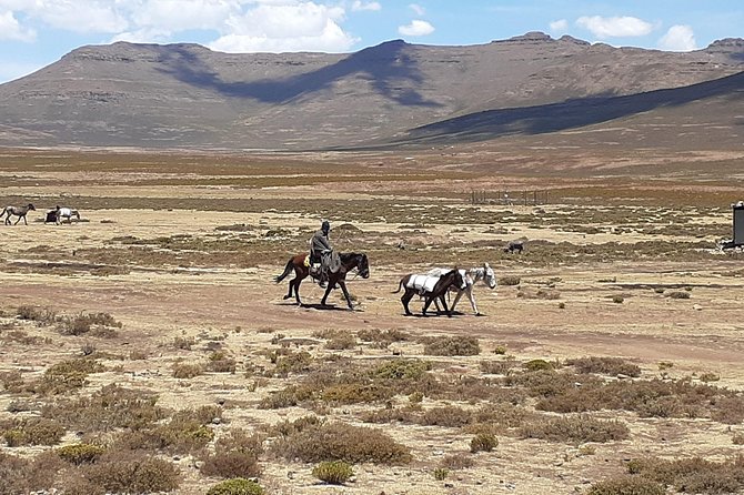 3 Days Lesotho Private Tour, Sani Pass and Maletsunyana Falls - The Sum Up