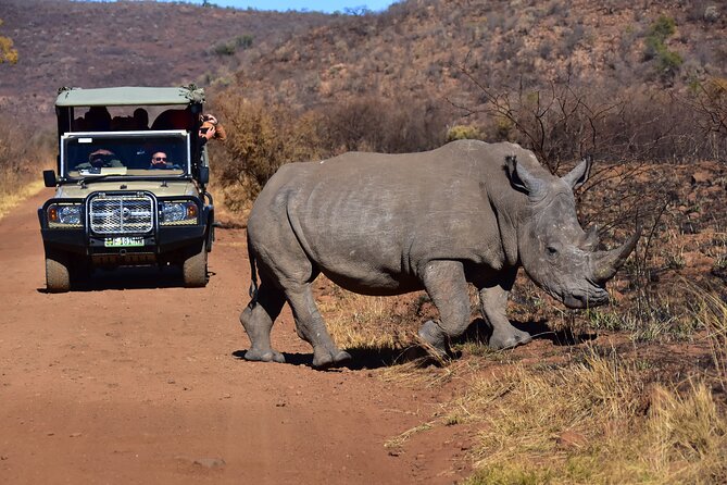 3-Hour Private Game Drive of Pilanesberg National Park - Additional Information and Cancellation Policy