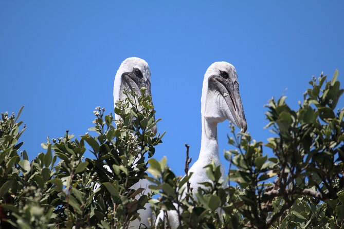 3-Hour St Pete Private Water Adventure Tour for 6 Guests - Additional Information