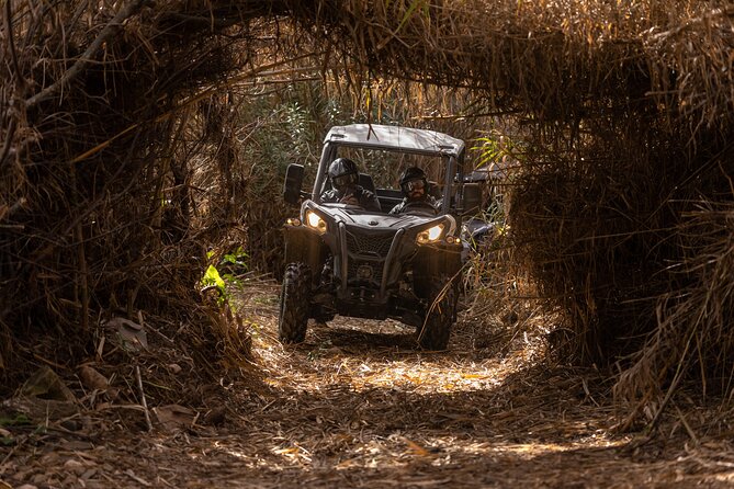 3-Hour Tour by Buggy or Quad in the Algarve - Reviews