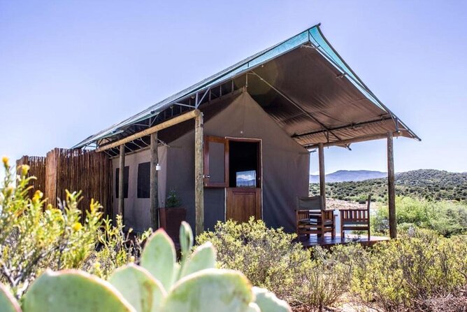 4 Day Garden Route Luxe Selection Micro Group Tour From Cape Town - Cancellation Policy and Traveler Reviews