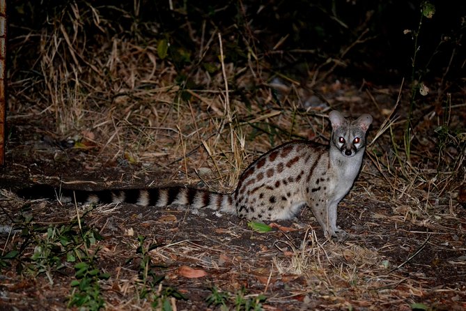 4-Day Kruger National Park Safari From Johannesburg - Directions