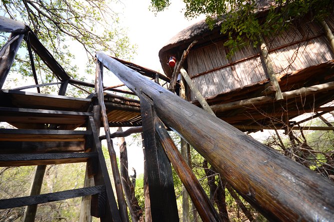 5 Day Lodge and Treehouse Kruger National Park Safari - Reviews and Ratings