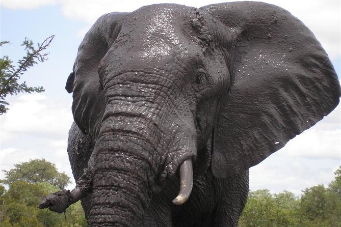 5Days Blyde River Canyon and Kruger National Park Overnight Tour and Safaris - Terms and Conditions