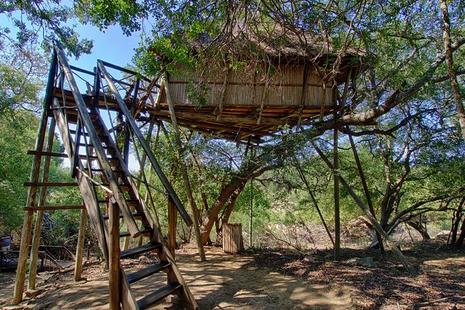 6 Day Lodge and Treehouse Kruger National Park Safari - Reviews and Testimonials