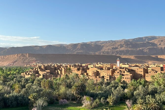 6 Days Private Morocco Tour From Casablanca to Marrakech - Day 5: Marrakech and Departure