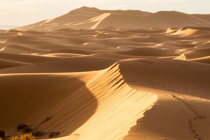 6 Days Trekking to the Heart of Desert - Terms and Conditions