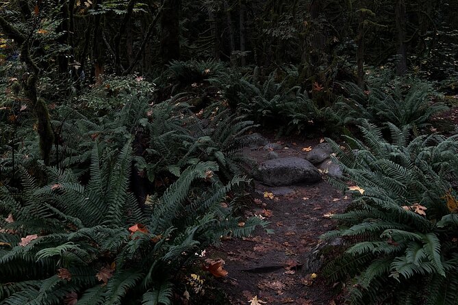 6-Hour Private Tour in Lynn Canyon and Deep Cove With Pickup - Tour Itinerary and Activities