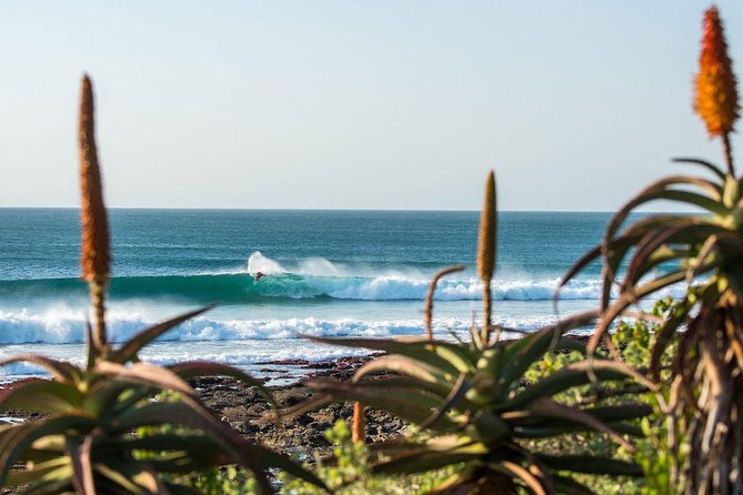 7 Day Garden Route to Addo, Cape Point and Winelands Combo Tour - Optional Activities