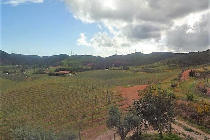 Algarve Wine Tour and Farmers Lunch at Wine Estate - Contact Viator for Inquiries and Questions