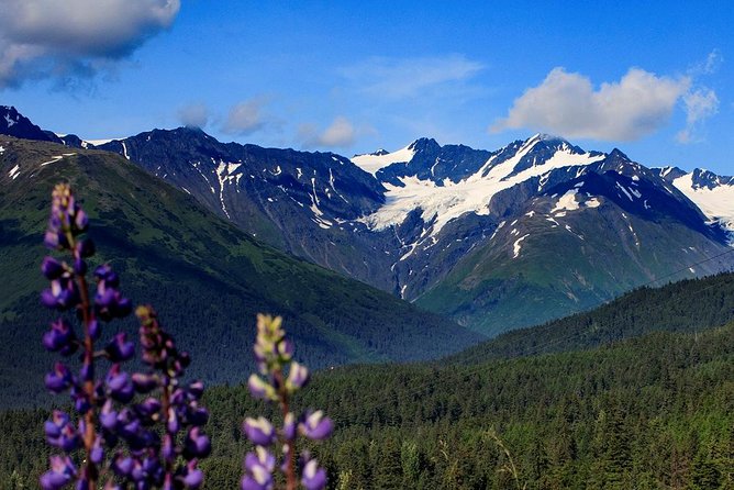 Alyeska Tram - A Self-Guided Tour - Common Questions
