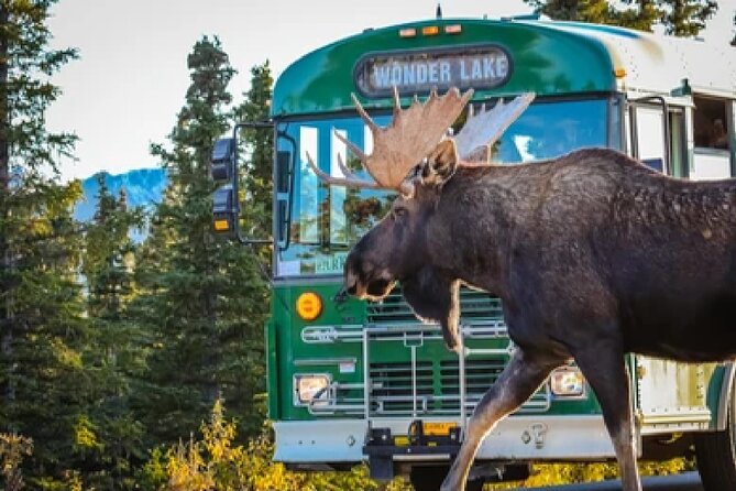 Anchorage: Kenai Fjords & Denali National Park 5 Day 4 Night Tour - Common Questions