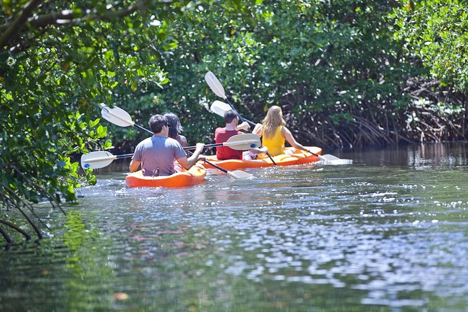 Antigua Zipline & Kayaking Combo From St. Johns - Safety Measures and Equipment