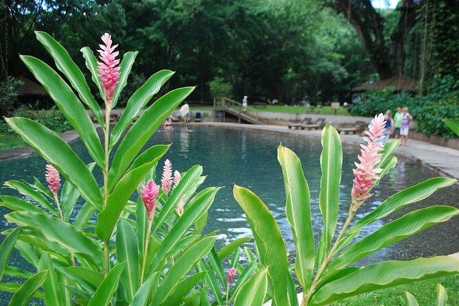 Appleton Estate, Black River Safari & YS Falls by Chukka - Other Information