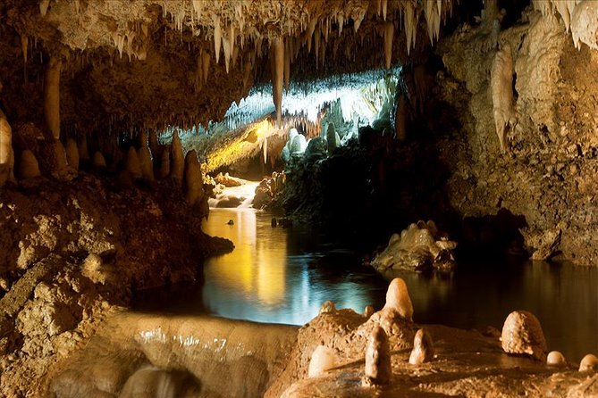 Barbados Harrisons Cave and St Nicolas Abbey Tour - Questions and Additional Information