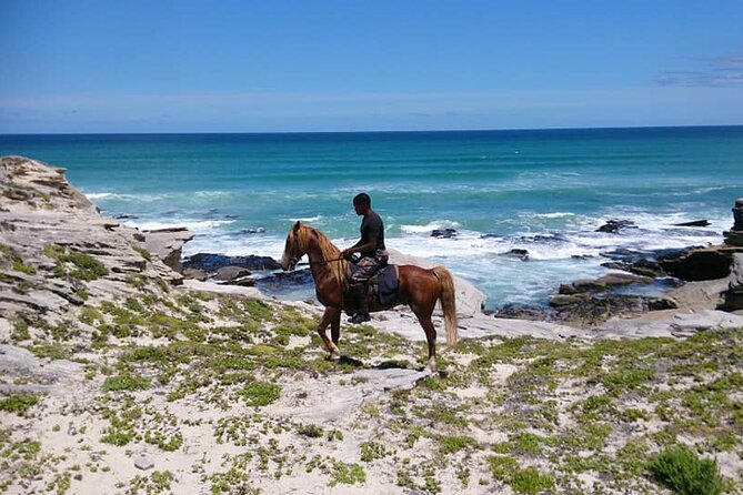 Beach Ride - Stanford - Cancellation Policy Details